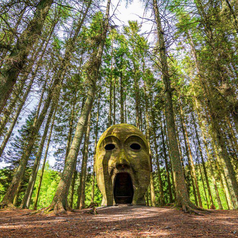 Silvas Capitalis - Kielder