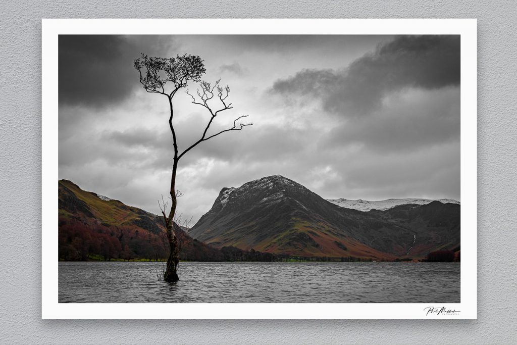 The Lonely Tree - Buttermere - Framed